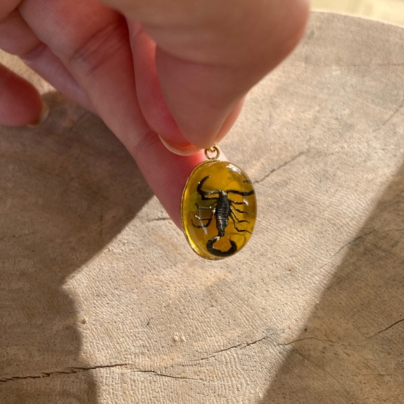 Real Ant Scorpion Beetle Spider Pendant Necklace Taxidermy insect necklace chain - Picture 2 of 11